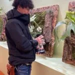 mimutakのアバター