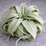 mi.chocoのアバター