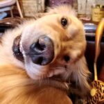 chikal22のアバター