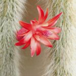 mayu_01.18のアバター