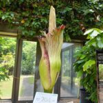 OkinawaDiyersのアバター