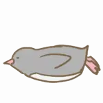 Ofutonのアバター