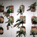 うっくんのアバター