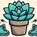 saihoku-shockbootsのアバター