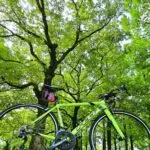 saorinnのアバター