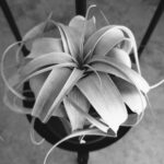 mi.chocoのアバター