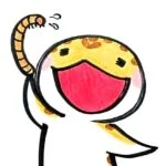 KUUKOのアバター