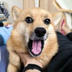 Sunnyのアバター