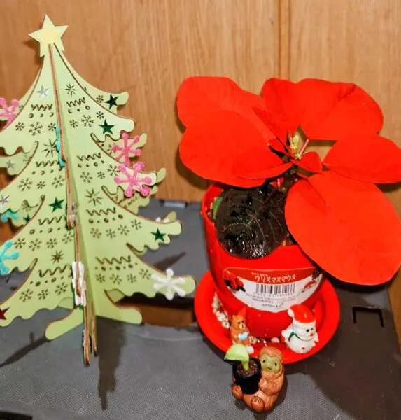 ポインセチア　マウス　メリークリスマス！