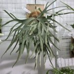 takatakaのアバター