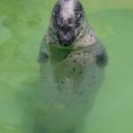 moty007のアバター