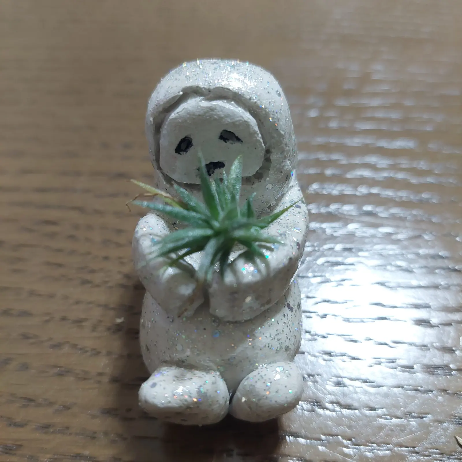 ティランジア　白花子株　&子株入れ工作