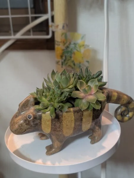 センペルビウム