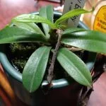 gunboy1110のアバター