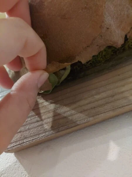 ビカクシダ　ネザーランド　