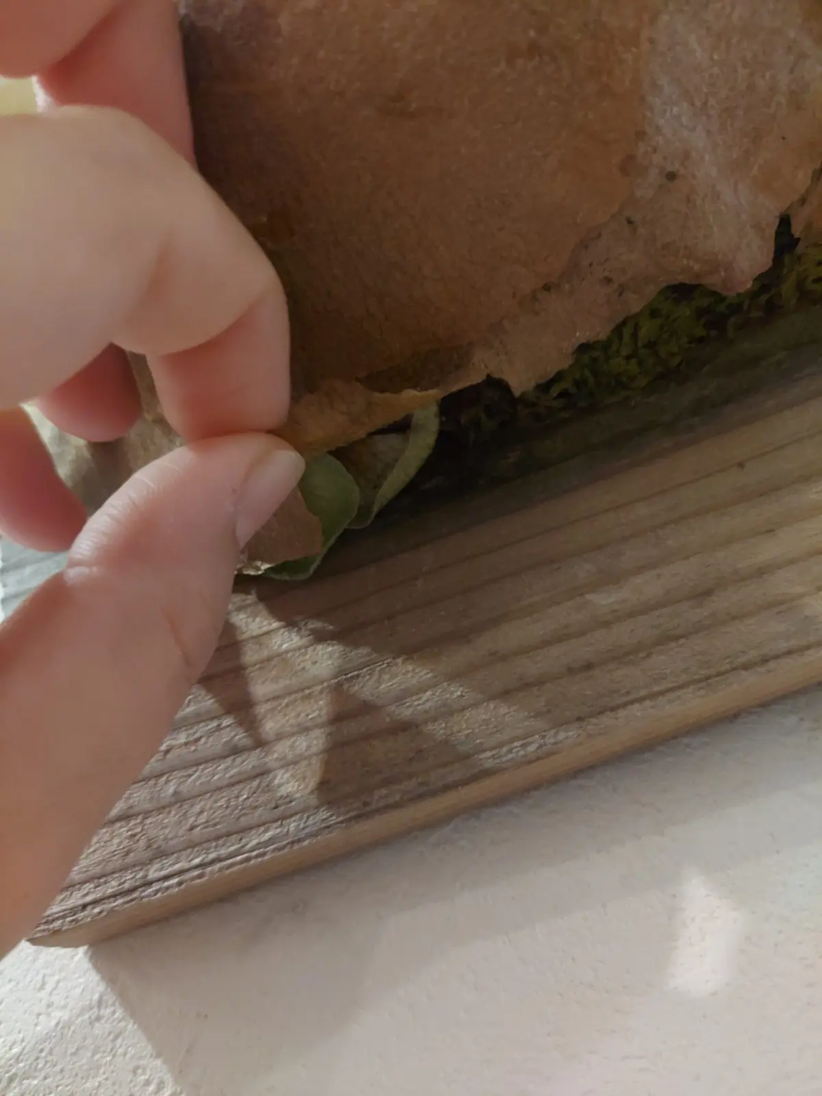 ビカクシダ ネザーランド