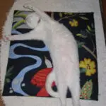 gorobooのアバター