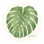 _yuckey___のアバター