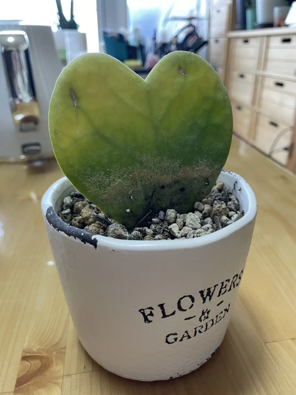 奥さんお気に入りのハート型のやつ