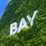 shimyのアバター