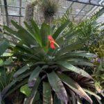 Izumi_daichuki_IGのアバター