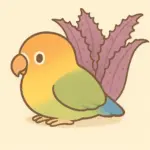 hiroco_ccoのアバター