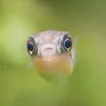 OMAME1129のアバター