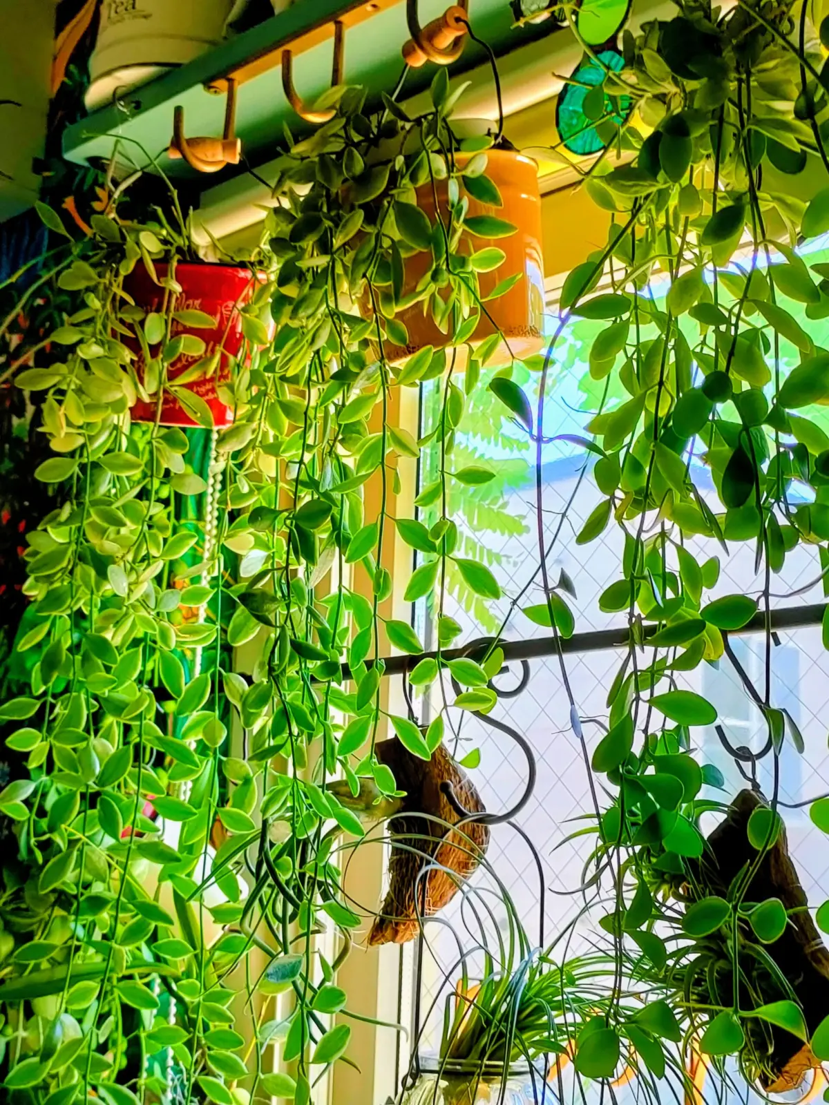 ディスキディア