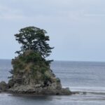 はむしのアバター