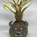 moriaのアバター