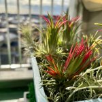 Gao_79のアバター