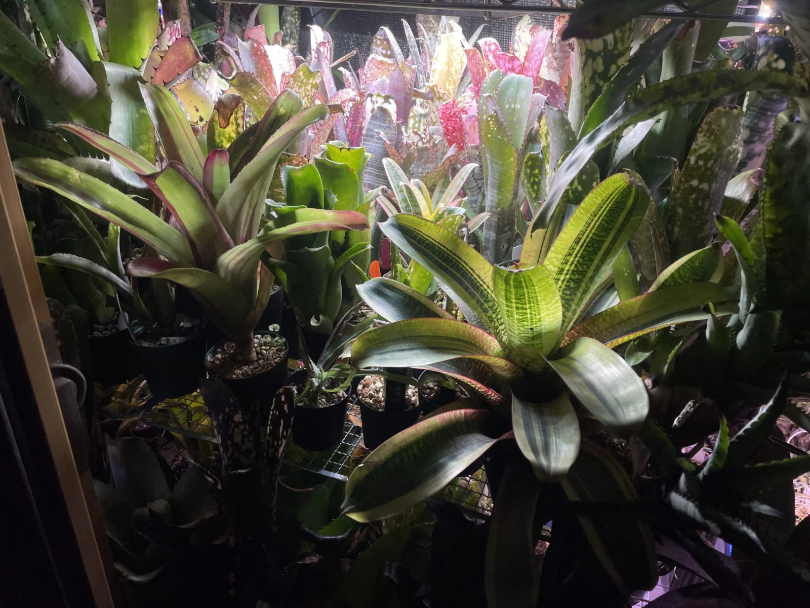 タンク　冬越し