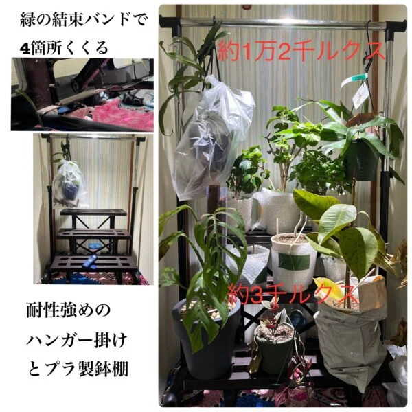 電球型育成ライト　ネペンテス　ハイビスカス　ビカクシダ