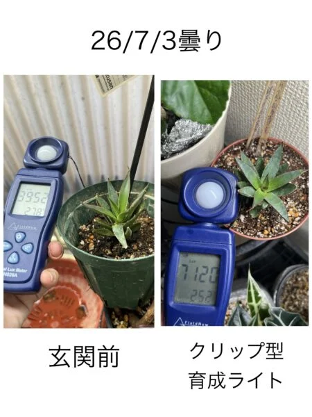 マンガベ プレイングハンズ　