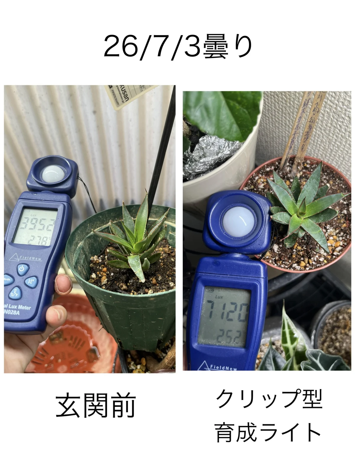 マンガベ プレイングハンズ　