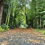 piccoloboobooのアバター