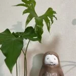 kanemaruのアバター