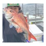 colo_1125のアバター