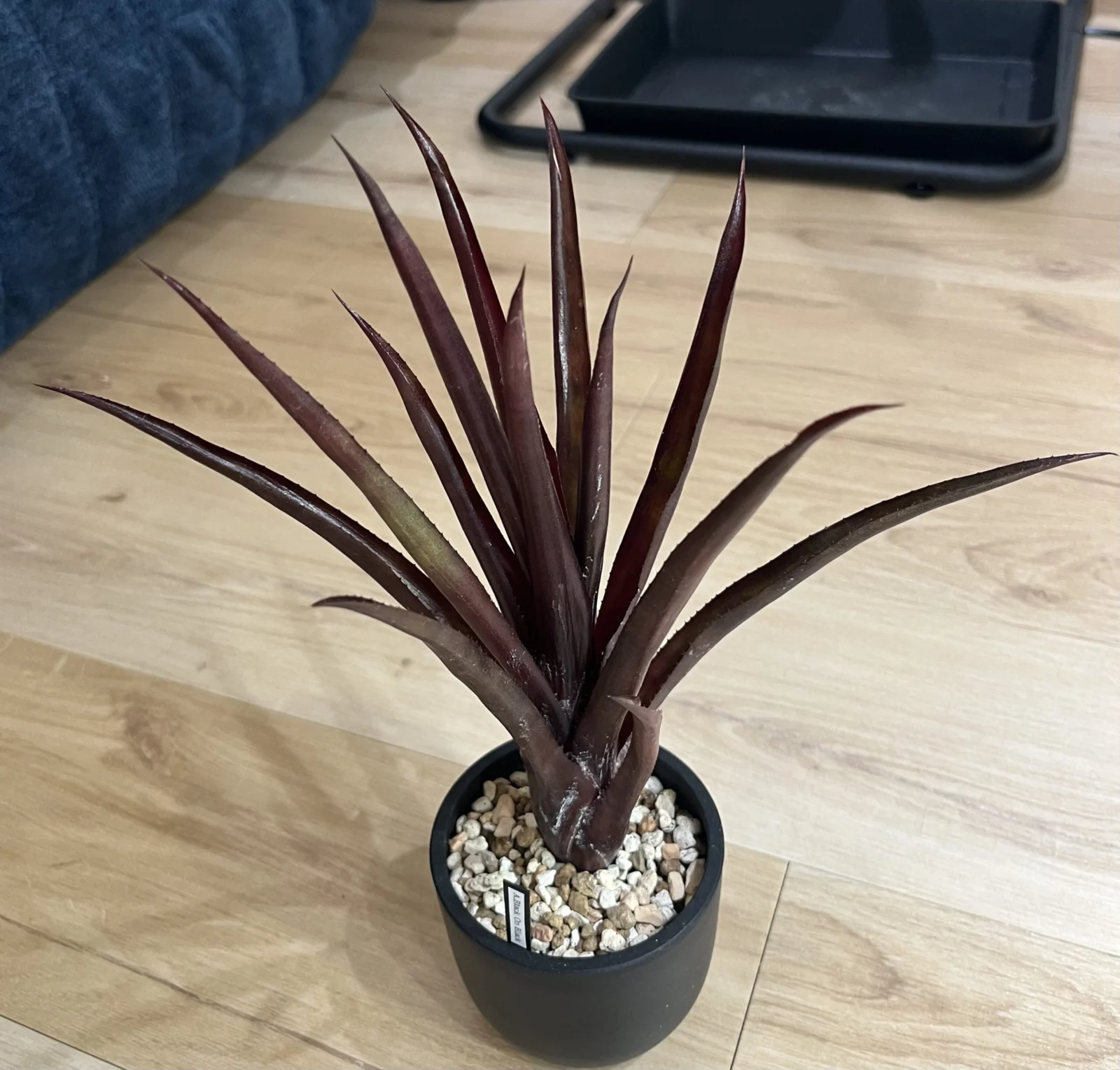 エクメア　ブラックオンブラック