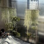 YFbotanical823のアバター