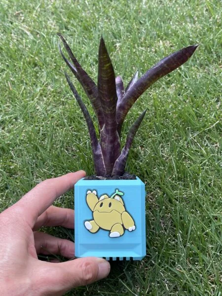 ネオレゲリア ジャバプラム