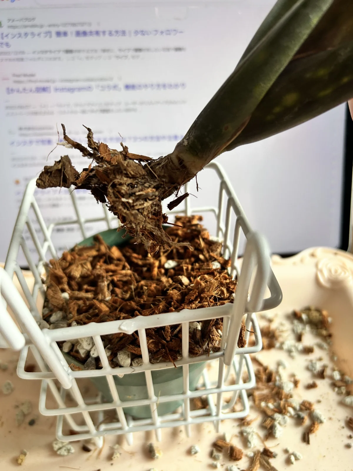 ダースベイダー