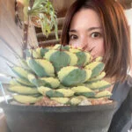 kokoのアバター
