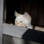 maru.photographのアバター