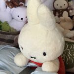 enokiのアバター