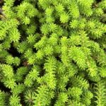 tryuujiのアバター