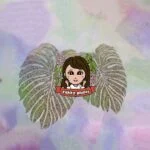 yukky_plantsのアバター