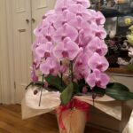 ranlove935のアバター