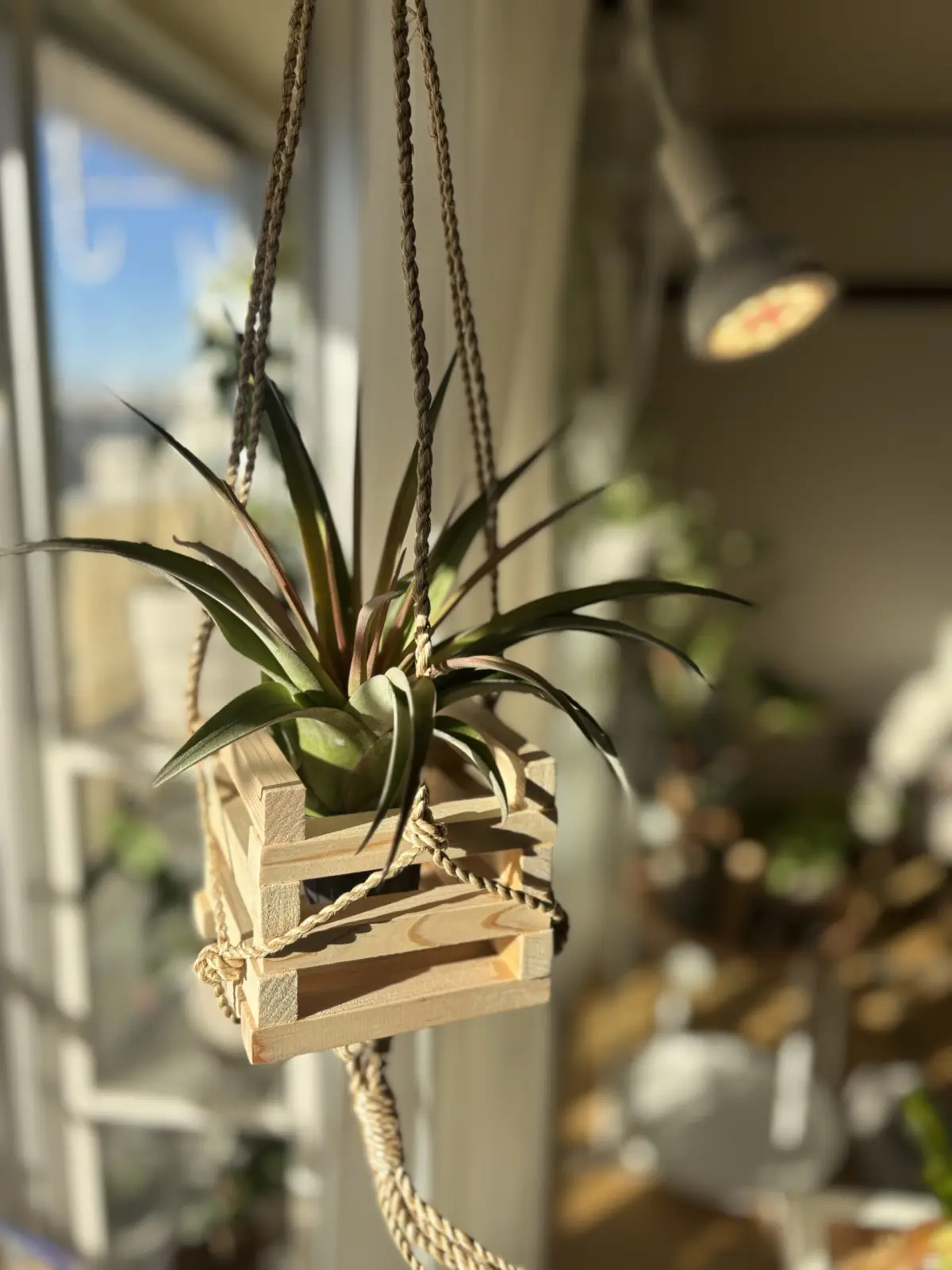 エリックノブロック　端材で園芸