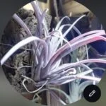 sonsonのアバター